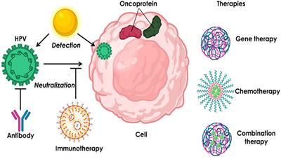 Nanotechnology-Based Weapons to Combat Human Papillomavirus Infection Associated Diseases